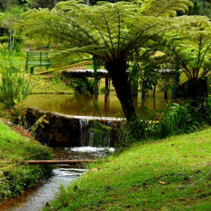 Vumba botanical garden