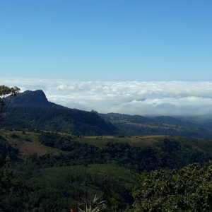 Vumba view