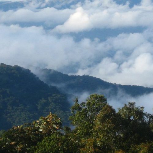 bvumba-mountains
